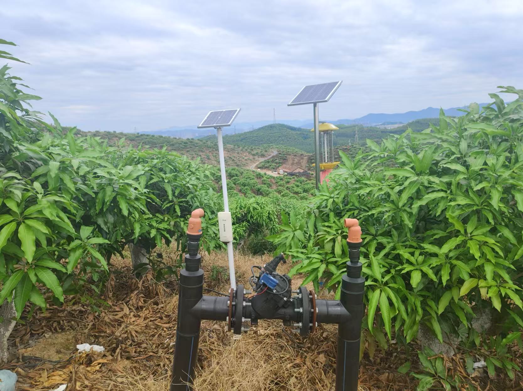 1752022255589412.jpg be7d3203a50192c886591c4a3dc08d0.jpg