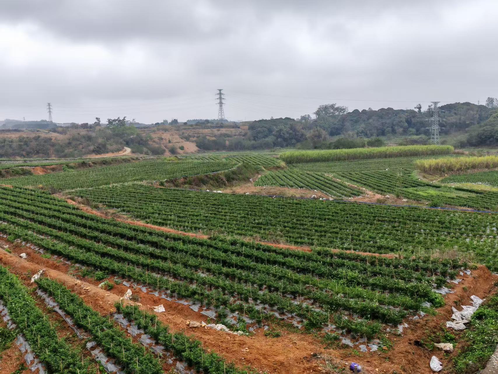 1752022453799732.jpg 微信图片_20250709085403.jpg