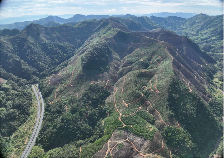 1752024585727400.png cd4e60fe48ef75027c8c76bb02d4af6.png