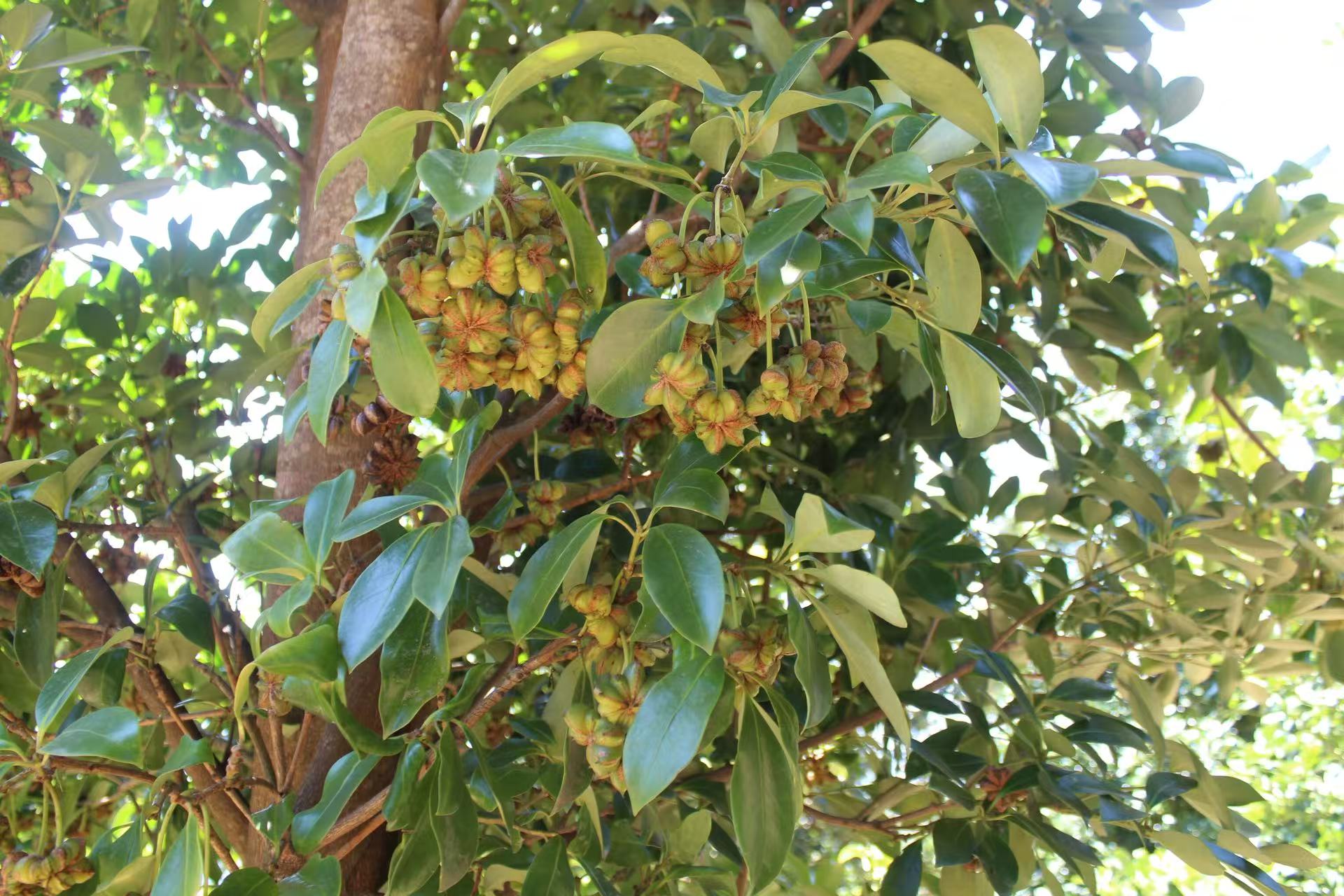 1752025240610263.jpg 微信图片_20250709094029.jpg